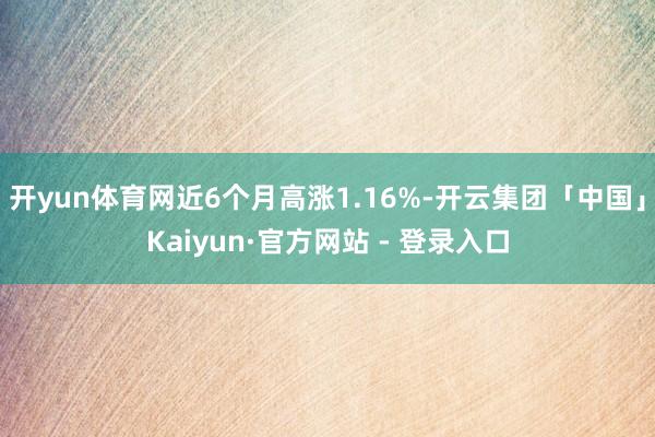 开yun体育网近6个月高涨1.16%-开云集团「中国」Kaiyun·官方网站 - 登录入口